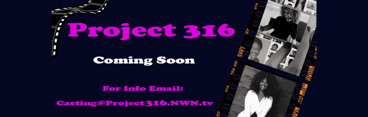 Project 316